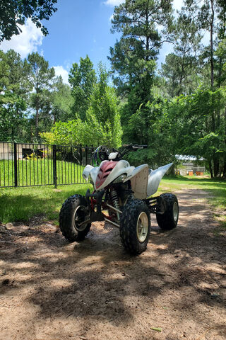 Adventure Awaits: The A..