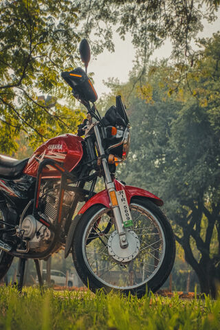 Yamaha YBZ 125
