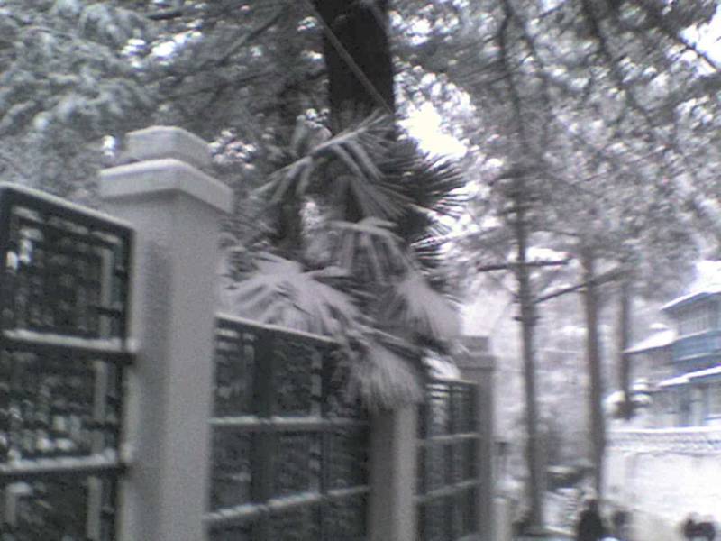 Snow