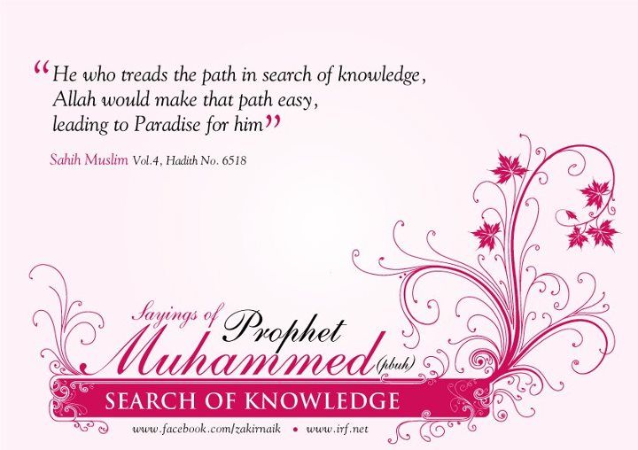 SEARCH OF KNOWLEDGE