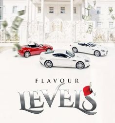 Levels _f