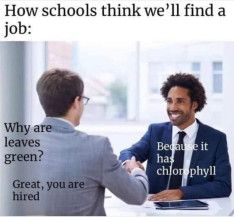 Find job