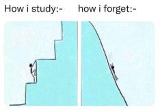 How i study