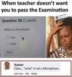 206545874