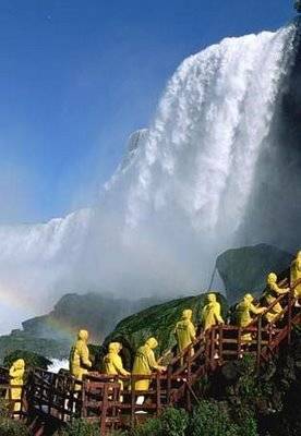 Natural Wonder