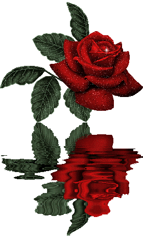 ANIMATION ROSE