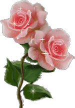 rose2