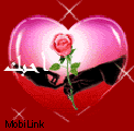 herat