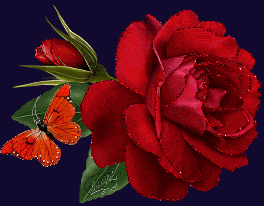 rose