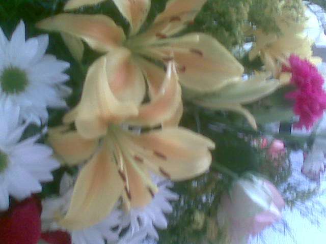 Flowers a