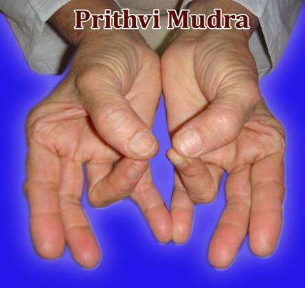 Prithvi M