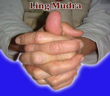 Ling Mudr