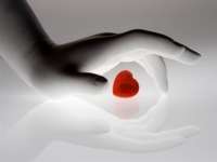 heart