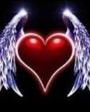 My heart 