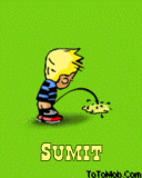 Sumit the bad boy
