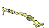 Can u do this?
