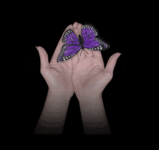 hands