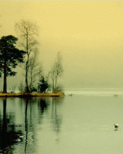 nature