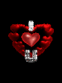 I love you