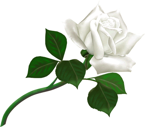 Flower.006.gif