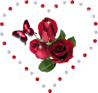 roses and b*tterfly