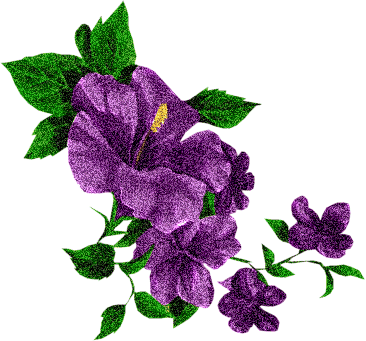 Purple.gif