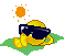 sun