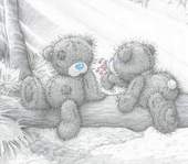 Bear 7