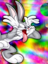 Crazy bug