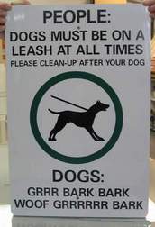 Funny dog