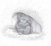 Bear 8