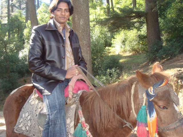 horse rid