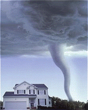 Nature power screens