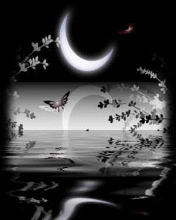 Black pic