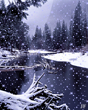 Winter00 animated