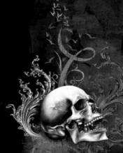 Skull