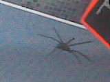 Omg luk a