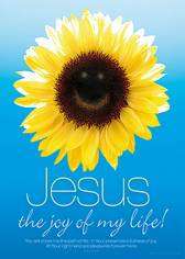 Jesus my 