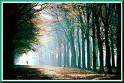 Road