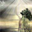 Light of 