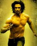 Shahid