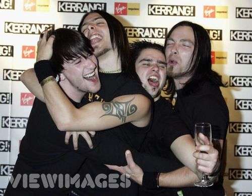 bfmv35