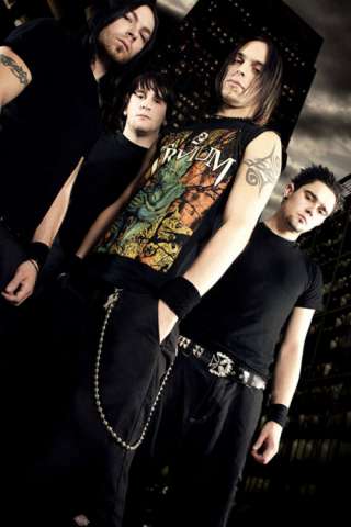 bfmv41