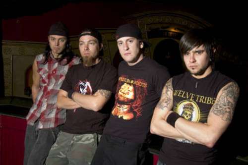 bfmv44