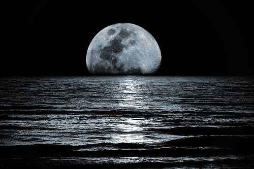 BLACK NIGHT