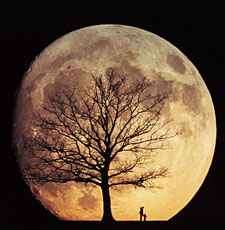 Moon