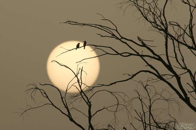 Romantic moment
