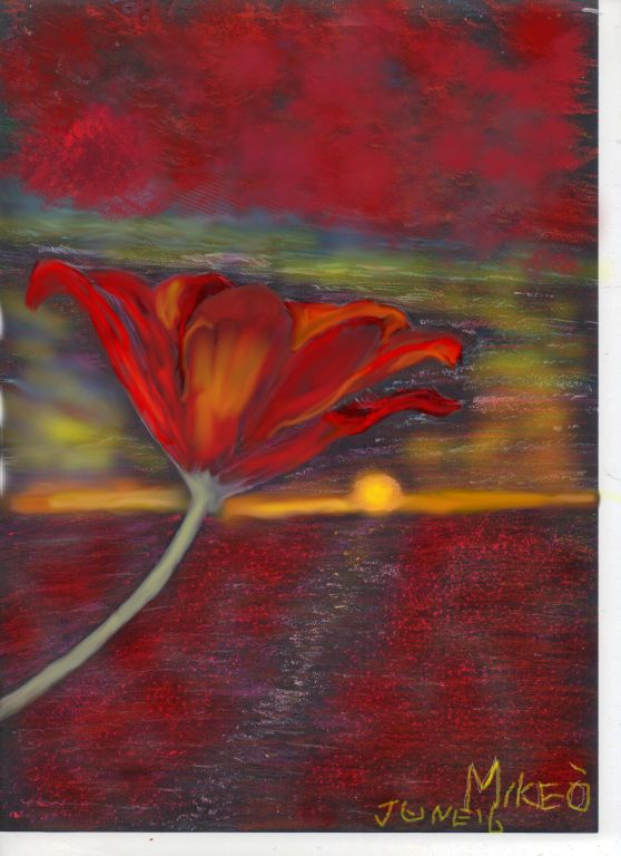 Poppy