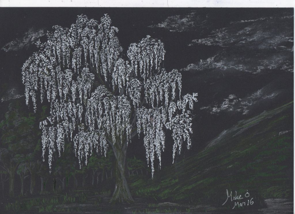 Cherry Tree