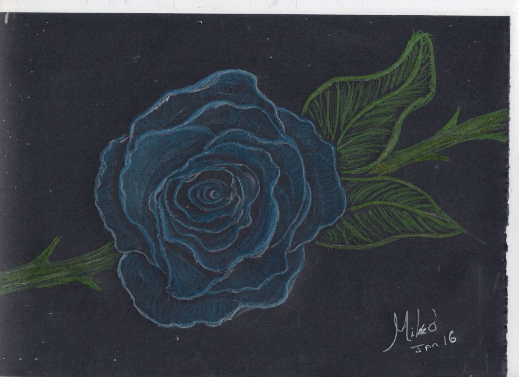 blue rose